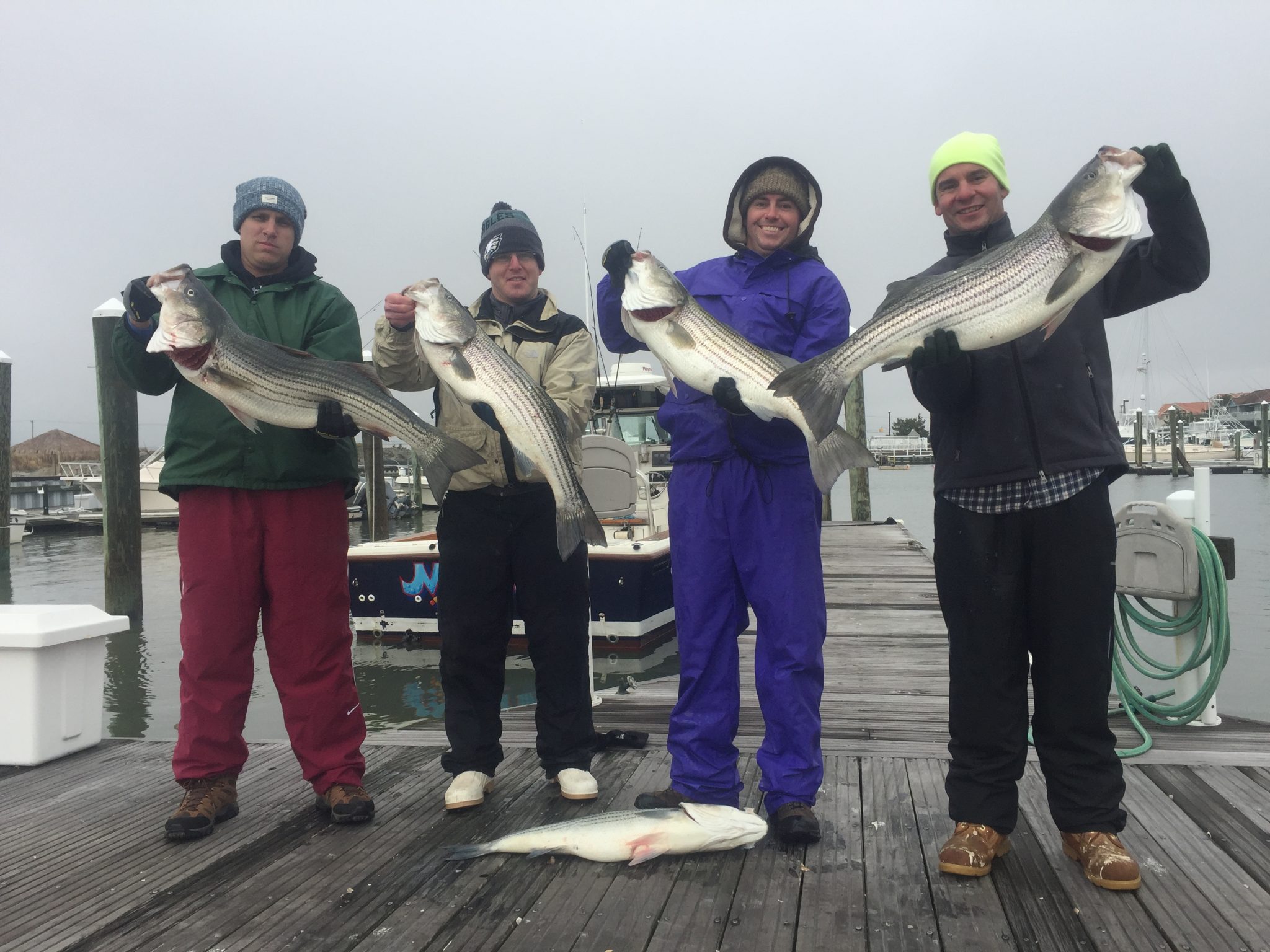 Striped Bass Fishing Atlantic City New Jersey