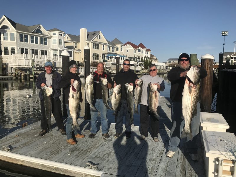 STRIPER BASS FISHING NJ Moover Fishing Adventures