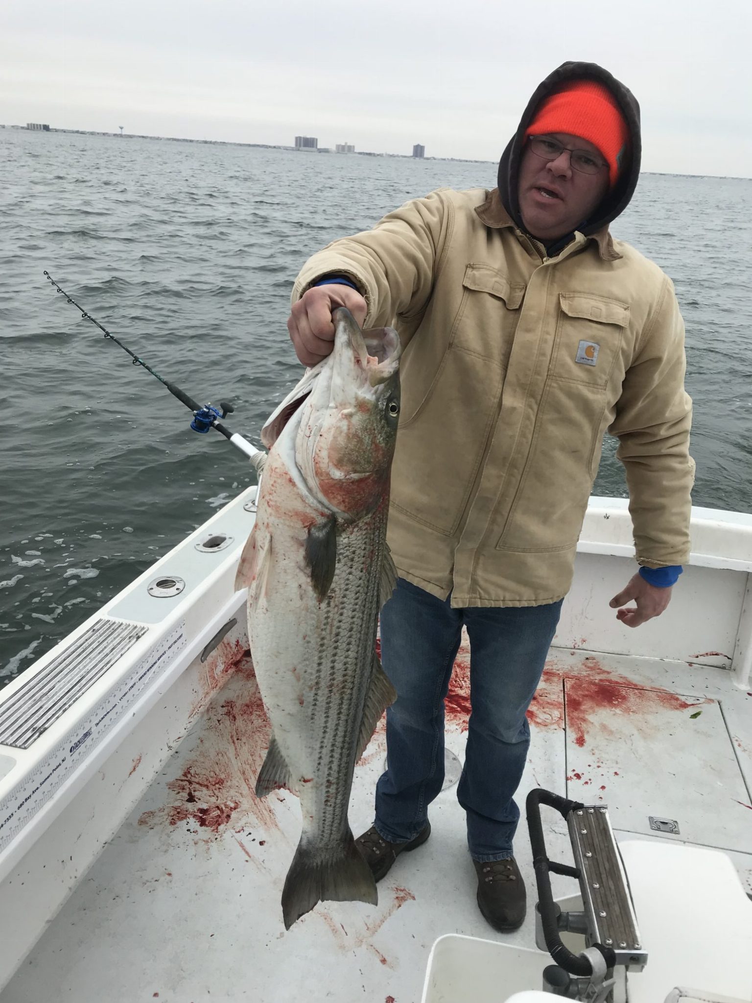Striped Bass Fishing Ocean City NJ Moover Fishing Adventures