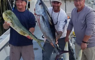 Tuna Fishing