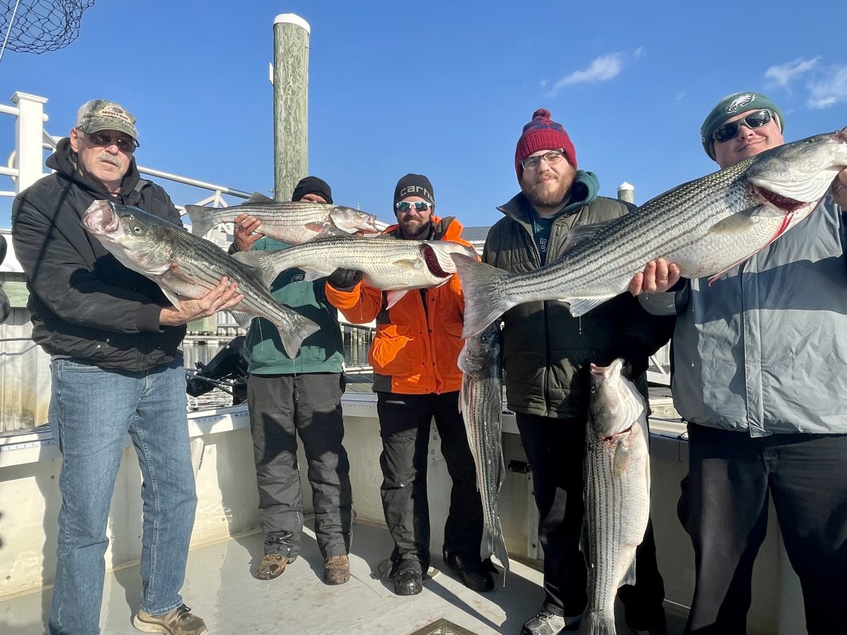 Wednesday Striped Bass Good Times! Moover Fishing Adventures