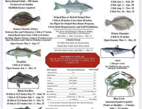 2023 NJ Fishing Regulations
