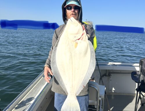 Open Boat Fluke Trips