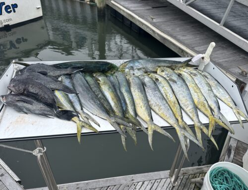 Fishing Ocean City