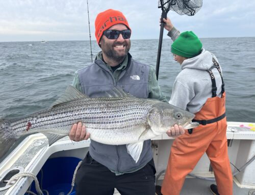 Ocean City Striped Bass