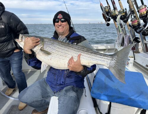 Striped Bass Open Boat 26th and 25th