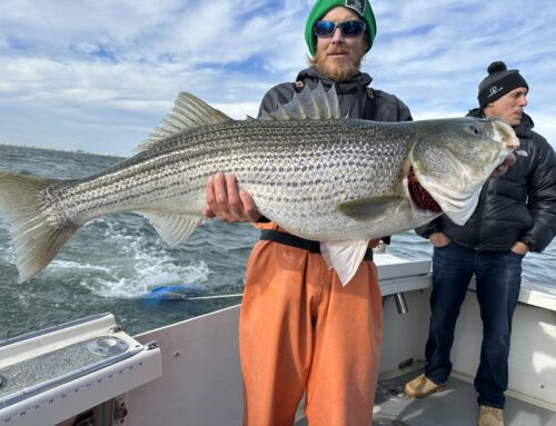 Ocean City Fishing