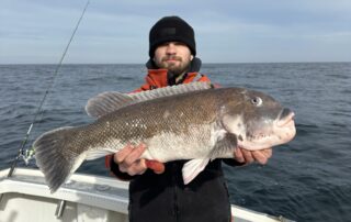 Tautog