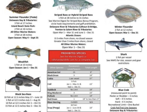 Some 2024 Fishing Regulations