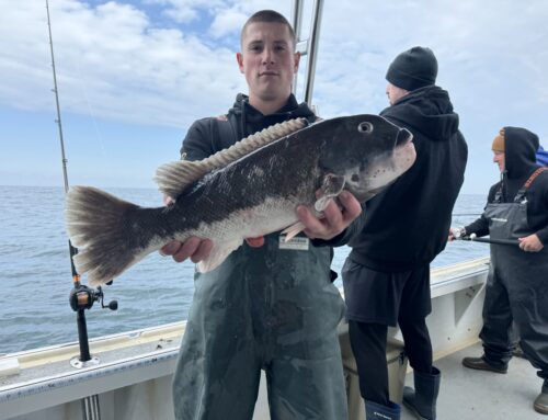 Atlantic City Blackfish/ Tog Fishing