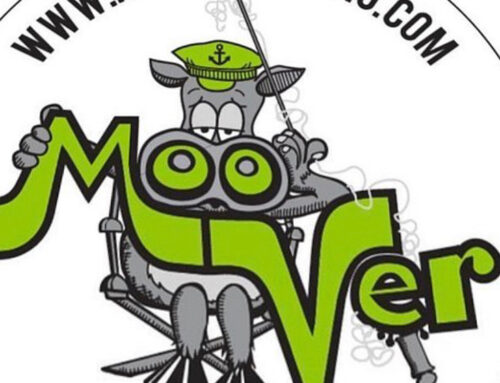 Friday Open Boat Tog- 2 spots available