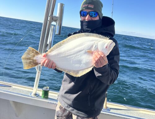 Sunday Fluke Fish Open Boat
