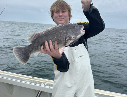 Tog Trip-3 spots just opened up