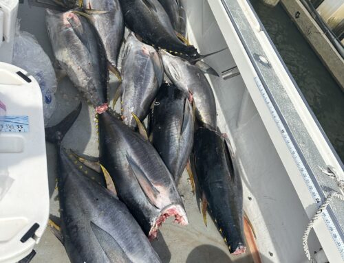 Tuna Open boat