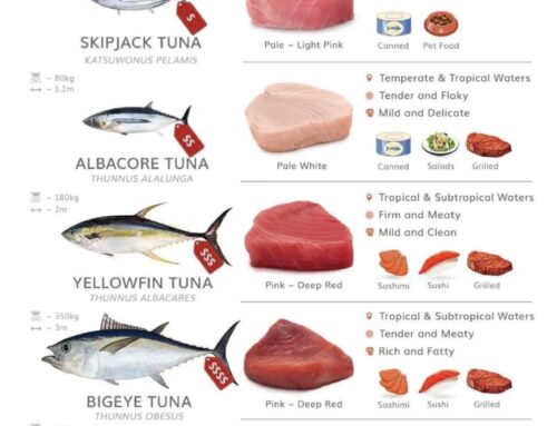 Tuna Species