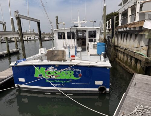 Open Boat Saturday 18 & Sunday19