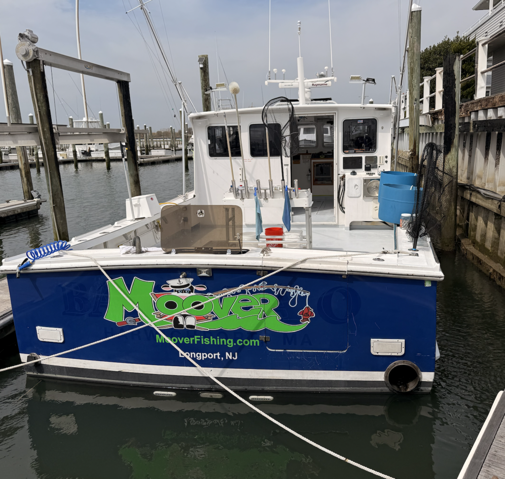 BlueFin Tuna Inshore is On - Moover Fishing Adventures