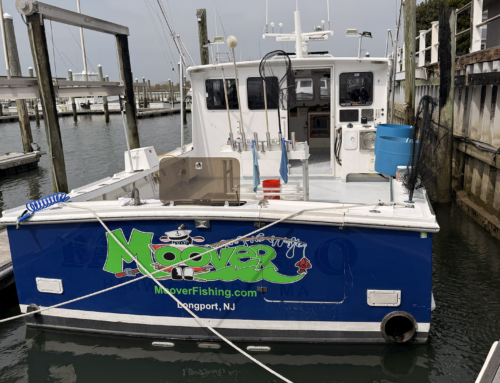BlueFin Tuna Inshore is On