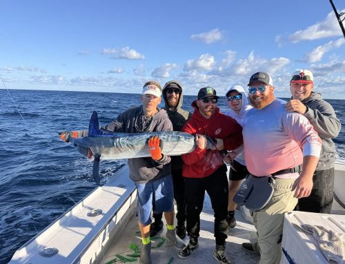 Marlin, Mahi & Tile fish